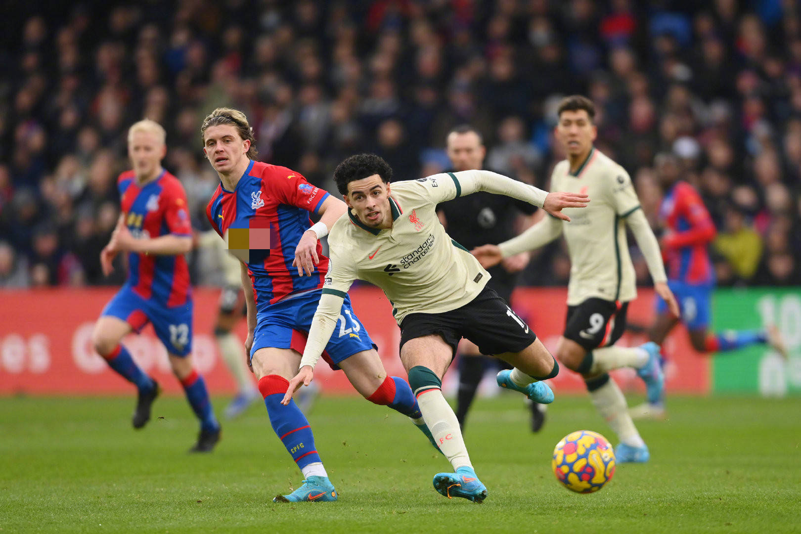 运动员学习 运动员学习